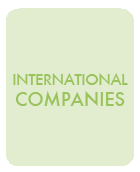 International Companies