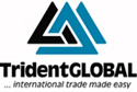 Trident Global Logo